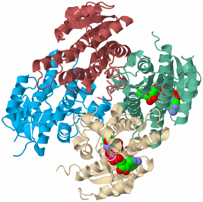 Image Biological Unit 4