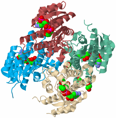 Image Biological Unit 1