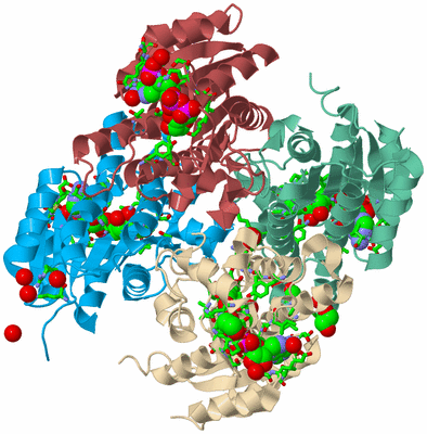 Image Biol. Unit 1 - sites