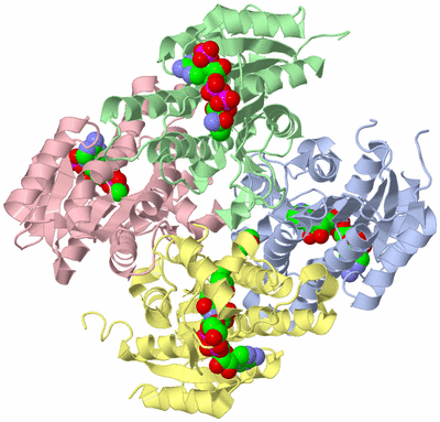 Image Biological Unit 2