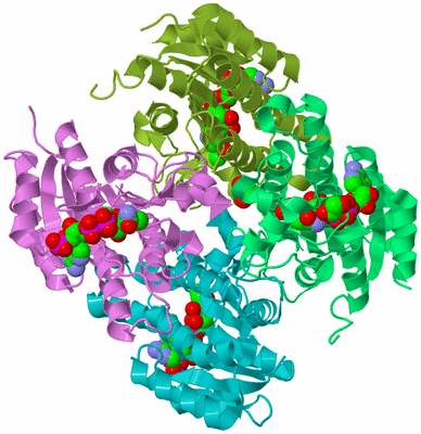 Image Biological Unit 3