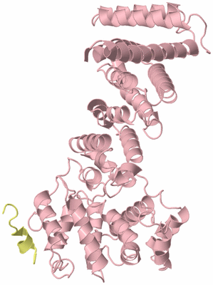 Image Biological Unit 1