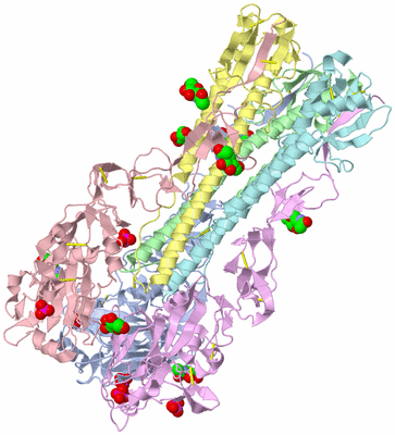 Image Asym./Biol. Unit