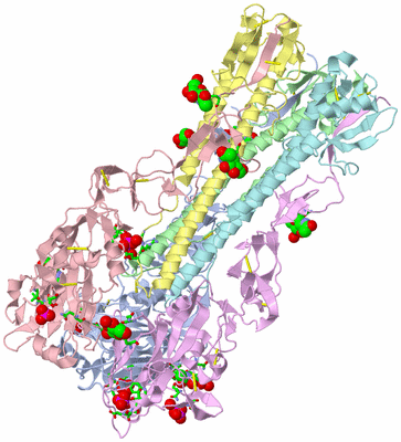 Image Asym./Biol. Unit - sites