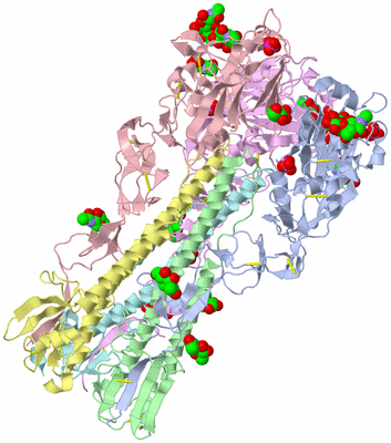 Image Asym./Biol. Unit