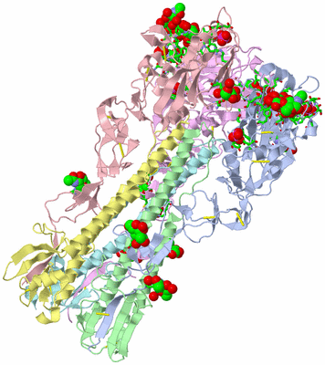 Image Asym./Biol. Unit - sites