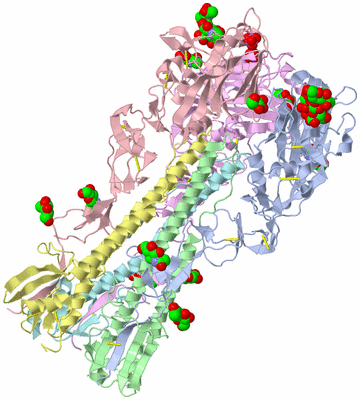 Image Asym./Biol. Unit