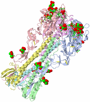 Image Asym./Biol. Unit - sites