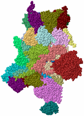 Image Asym./Biol. Unit