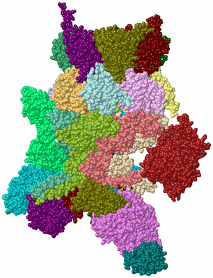 Image Asym./Biol. Unit