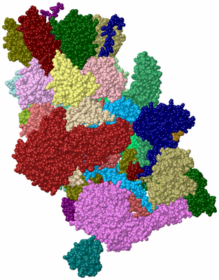 Image Asym./Biol. Unit