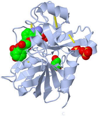 Image Biological Unit 1