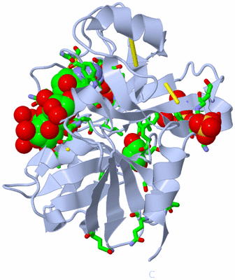 Image Biol. Unit 1 - sites