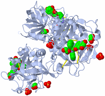 Image Biological Unit 2