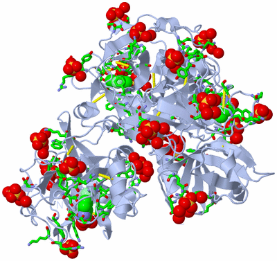 Image Biol. Unit 1 - sites