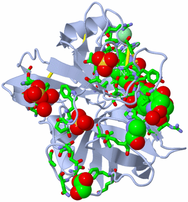 Image Biol. Unit 1 - sites