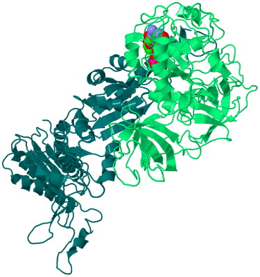 Image Asym./Biol. Unit