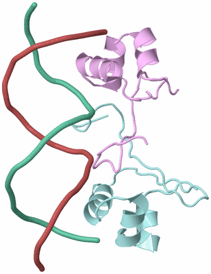 Image Biological Unit 3