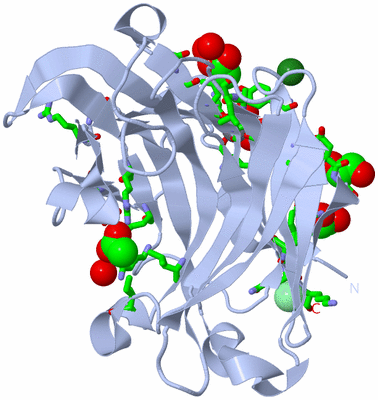 Image Biol. Unit 1 - sites