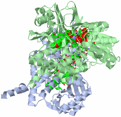 Image Asym./Biol. Unit - sites