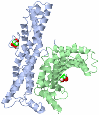 Image Asym./Biol. Unit