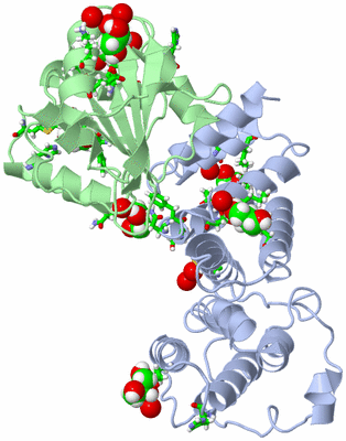 Image Asym./Biol. Unit - sites