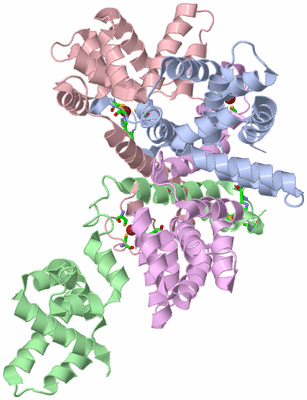 Image Asym./Biol. Unit - sites