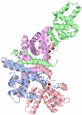 Image Asym./Biol. Unit