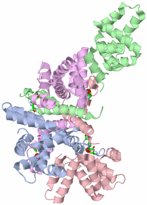 Image Asym./Biol. Unit - sites