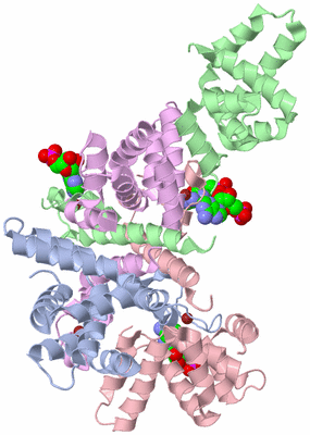 Image Biological Unit 1