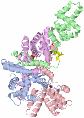 Image Asym./Biol. Unit