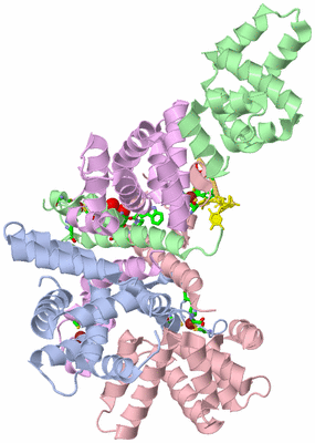 Image Asym./Biol. Unit - sites