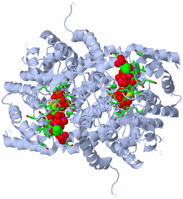 Image Biol. Unit 1 - sites