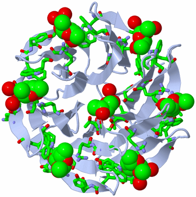 Image Biol. Unit 1 - sites