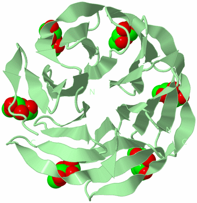 Image Biological Unit 2