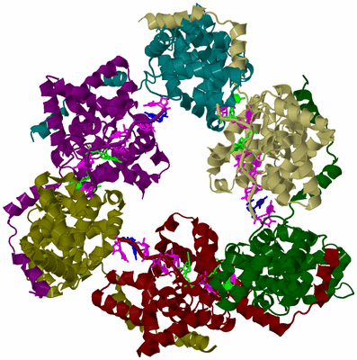 Image Biological Unit 1