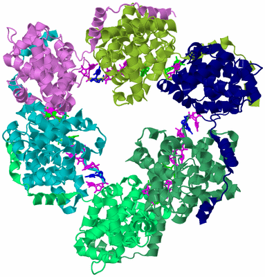 Image Biological Unit 2