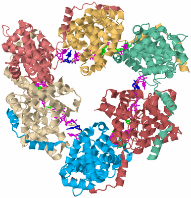 Image Biological Unit 3