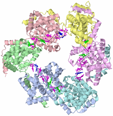 Image Biological Unit 4