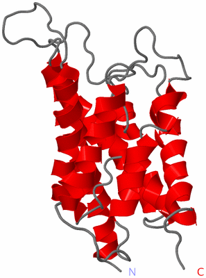 Image Asymmetric Unit