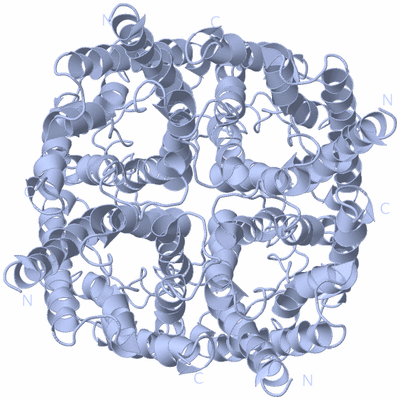 Image Biological Unit 1