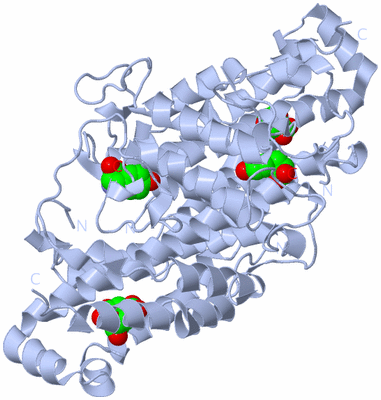 Image Biological Unit 3