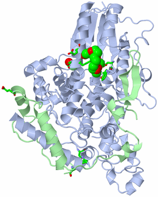 Image Asym./Biol. Unit - sites