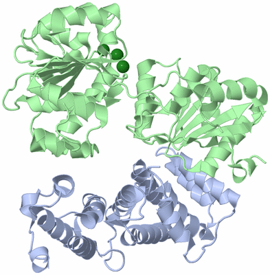 Image Biological Unit 1