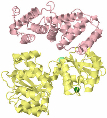 Image Biological Unit 2