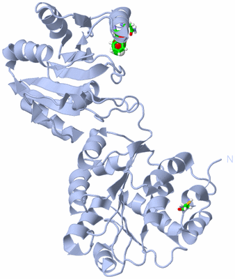 Image Biol. Unit 1 - sites