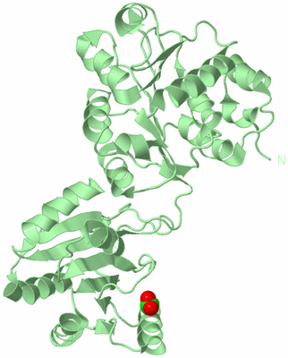 Image Biological Unit 2