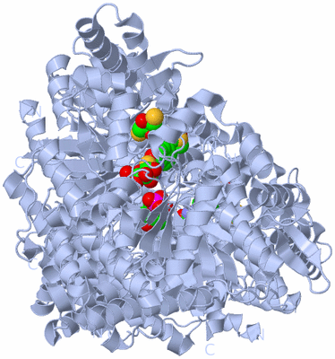 Image Biological Unit 1