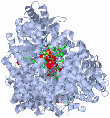 Image Biol. Unit 1 - sites