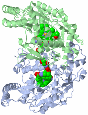 Image Asym./Biol. Unit